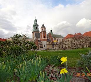 Schloss Wawel