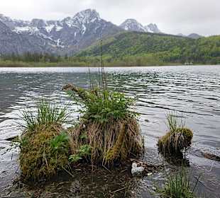 Wandern Grünau im Almtal