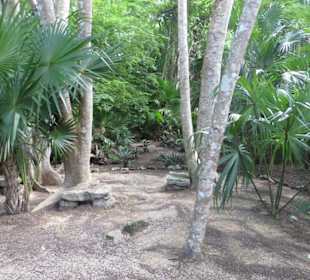 Ausflug mit Daniel zu den Maya Ruinen in Muyil