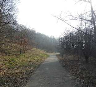Wunderschöne Boberger Niederung