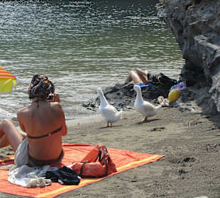 Plaża Bali