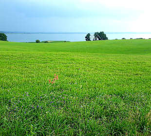Wanderung Loddiner Höft