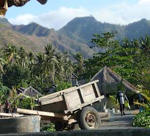 Tauchflaschentransporter