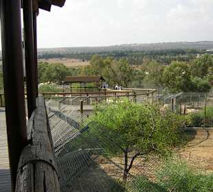 Ausblick vom Raubtiergehege