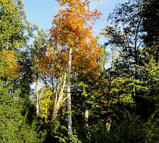 Herbstspaziergang durch den Schlosspark
