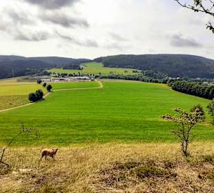 Wandern Willingen