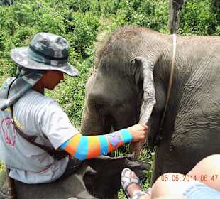 Beim Elefantenreiten