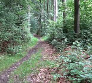 Wanderweg - Alter Steinbruch Pfaffenberg Runde