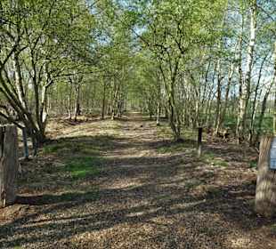 Rundweg durch die Gellener Torfmöörte
