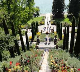 Insel Mainau 08/2017