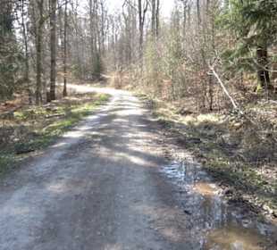 Geologischer Lehrpfad Kirnbachtal