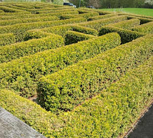 Labyrinth ca.2m hoch
