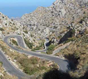 Die sogenannte Schlange