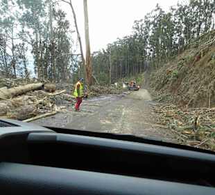 Inselrundfahrt Madeira
