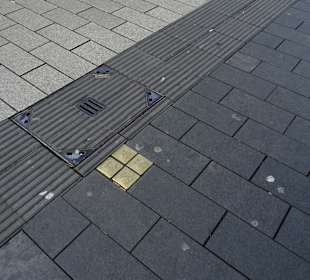 Stadtrundgang Mannheim