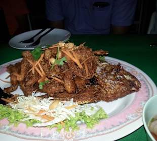 Reichliches und schmackhaftes zum Speisen