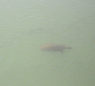 Kleiner Fluß zum Hafen