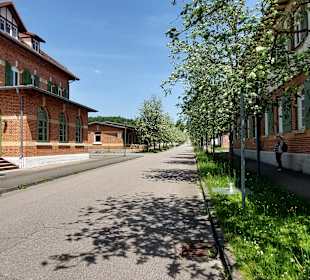 Altes Lager Münsingen