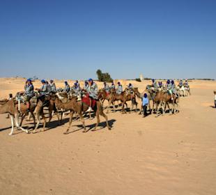 Ausflug in die Sahara