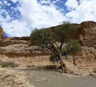Im Canyon