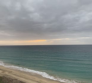 Ausblick