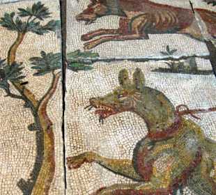 Mosaik aus der Villa des Sallust