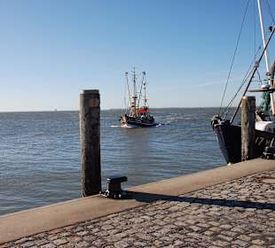 Schiff im Hafen Dagebüll