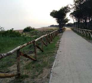 Radwege direkt am Strand