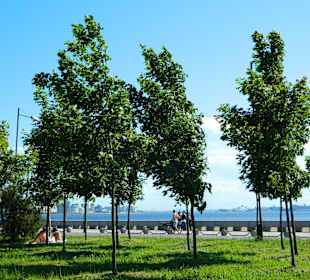 Park 300 lecia Sankt Petersburga