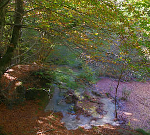 Горный нацпарк Истоки реки Уредерра, Наварра