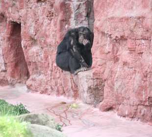 ZOOM Erlebniswelt Gelsenkirchen