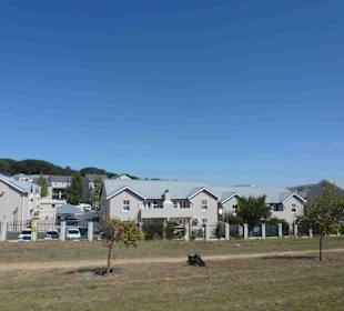 Weingebiet Stellenbosch