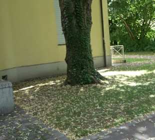 Schlossanlage Ismaning