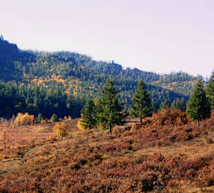 Gorkhi Terelj Nationalpark