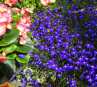 Eindrücke vom Rundgang durch den Park der Gärten