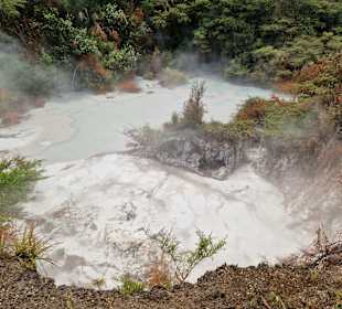 Orakei Korako Geothermal Park & Cave