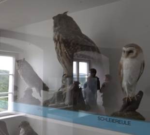 Museum Rosenburg