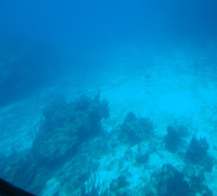 Prospekte machen daraus ein Karibik-Paradies