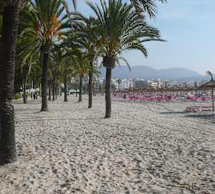 Blick auf den Strand