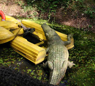 Serengeti Park Hodenhagen