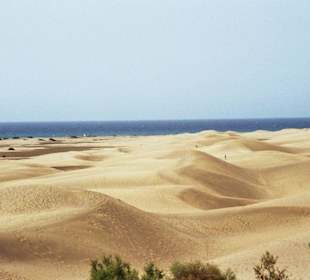 Dünen von Maspalomas