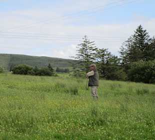 Patsy's Shaffarm