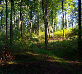 Wanderung zum Signalstein Fränk.Schweiz