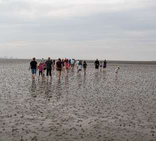 Wattenmeer