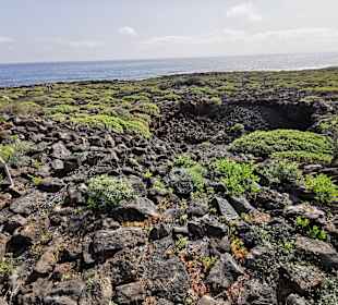  Jameos del Agua