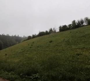 Eninger Weide