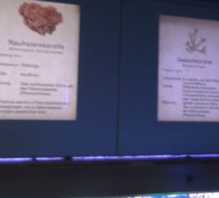 Meeresmuseum Stralsund