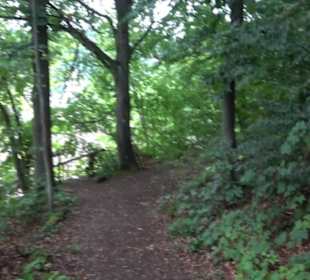 Museum Römer und Bajuwaren