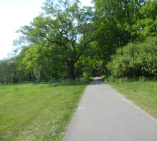 Naturschutzgebiet Boberger Niederung
