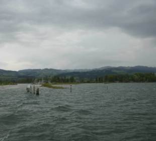 Mündungsgebiet vom Alten Rhein in den Bodensee